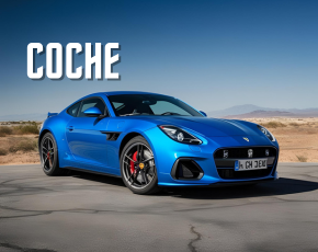 Coche
